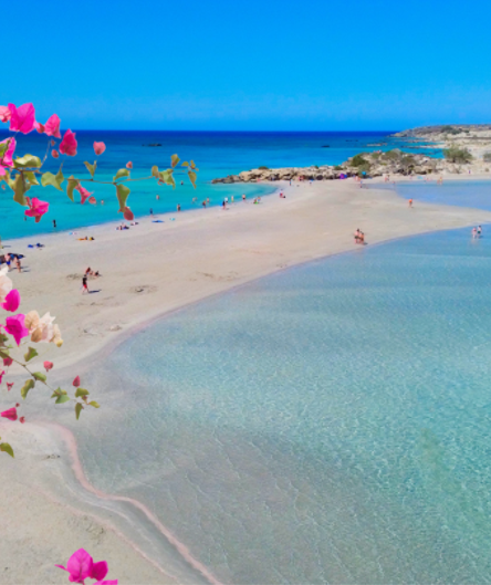 Blick auf eine weite, helle Sandbank mit rosa schimmerndem Saum zwischen türkisblauem, klarem Wasser. Blick auf eine weite, helle Sandbank mit rosa schimmerndem Saum zwischen türkisblauem, klarem Wasser.